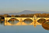 France,Vaucluse,Avignon,Saint Benezet bridge on the Rhone dating from the 12th century listed UNESCO World Heritage,the Mont Ventoux in the background