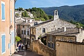 Frankreich,Vaucluse,regionaler Naturpark Luberon,Ménerbes,ausgezeichnet mit dem Titel der schönsten Dörfer Frankreichs,La Chapelle Saint-Blaise