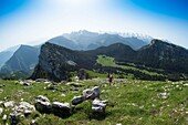 Frankreich,Haute Savoie,Massiv des Bornes,Plateau des Glieres,Wanderung zum Felsen Parnal,oben angekommen