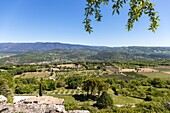 France,Vaucluse,regional natural reserve of Luberon,Saignon,the country of Apt from the ramparts