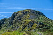 France,Cantal,Regional Natural Park of the Auvergne Volcanoes,monts du Cantal,Cantal mounts,hikers in the ascent of puy Mary