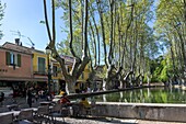 France,Vaucluse,Regional Natural Park of Luberon,Cucuron,the basin of the pond