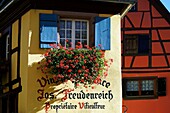 Frankreich,Haut Rhin,Eguisheim,Häuser,typische Fassaden.
