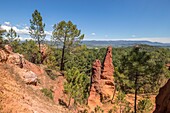 Frankreich,Vaucluse,Regionaler Naturpark Luberon,Roussillon,ausgezeichnet als die schönsten Dörfer Frankreichs,der Sentier des Ocres,der Nadelkranz