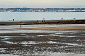 France,Calvados,Pays d'Auge,Trouville sur Mer,the Roches Noires (Black Rocks) beach which extends for several kilometers towards Hennequeville and Villerville,Le Havre port in the background