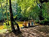 France,Gironde,Val de L'Eyre,Parc Naturel Régional des Landes de Gascogne,Leyre river