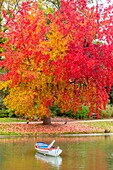 Frankreich,Paris,der Bois de Vincennes im Herbst,der Daumesnil-See