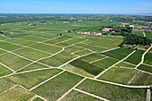 France,Gironde,Pauillac,parcels of vineyards,where are produced great wines classified (aerial view)