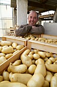 France,Pyrenees Orientales,Perpignan,SCEA Llyboutry,market gardener,portrait of Llyboutry Jerôme potato producer Bea