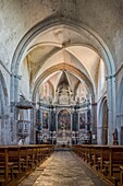 France,Vaucluse,Regional Natural Park of Luberon,Cucuron,nave of Notre Dame de Beaulieu church