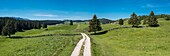 Frankreich,Jura,Panoramablick auf die Wiesen der hohen Coombs auf dem Gemeindegebiet von Bellecombe