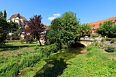 France,Lot,Quercy,Dordogne Valley,Creysse,stream of Cacrey