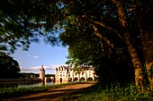 Frankreich,Indre et Loire,Loire-Tal,Schloss Chenonceau auf der Liste des Weltkulturerbes der UNESCO,erbaut zwischen 1513 und 1521 im Stil der Renaissance,über dem Fluss Cher