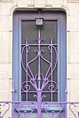 France,Meurthe et Moselle,Nancy,door of a house in Art Nouveau style