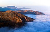 France,Haut Rhin,Ribeauville,Saint Ulrich Castle and Girsberg Castle (aerial view)