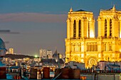 Frankreich,Paris,Weltkulturerbe der UNESCO,Kathedrale Notre Dame