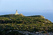 France,Corse du Sud,Freto,Bonifacio,lighthouse and Cap de Pertusato