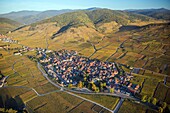 France,Haut Rhin,Alsace wine road,Kientzheim,fortified village,vineyards (aerial view)