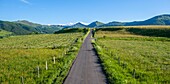 France,Cantal,Regional Natural Park of the Auvergne Volcanoes,monts du Cantal (Cantal mounts),vallee de Cheylade (Cheylade valley),near Le Claux village