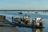 Frankreich,Morbihan,Tour-du-Parc,Austernfarmen bei Sonnenaufgang