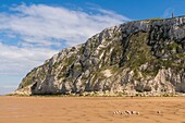 Frankreich,Pas de Calais,Opalküste,Großer Standort der beiden Caps,Escalles,Cap Blanc nez,der Strand von Escalles und die Klippen von Cap Blanc Nez