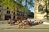 France,Gironde,Bordeaux,area listed as World Heritage by UNESCO,Saint Michel district,Meynard square,Saint Michel Basilica built between the 14th and 16th century Gothic style