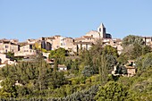 France,Vaucluse,regional natural reserve of Luberon,Saignon,the village,the church Notre-Dame of Pity or Saint-Marie de Saignon of the XIIe century