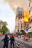 Frankreich,Paris,von der UNESCO zum Weltkulturerbe erklärtes Gebiet,Kathedrale Notre Dame de Paris,Brand der Kathedrale am 15. April 2019
