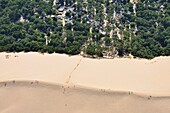 Frankreich,Gironde,Bassin d'Arcachon,Landes Forest,Dune du Pilat (die große Düne von Pyla) (Luftaufnahme)