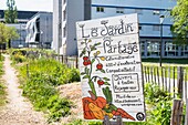 France,Rhone,Villeurbanne,La Doua campus,Le Doua Vert shared garden