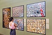 France,Hauts de Seine,La Defense,the roof of the Grande Arche,inauguration of Legacy exhibition by Yann Arthus-Bertrand from 28/06 to 01/12/2019