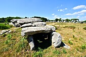 France,Morbihan,Carnac,row of megalithic standing stones at Kermario