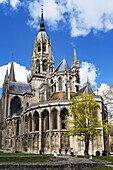 Frankreich,Calvados,Bayeux,Kathedrale