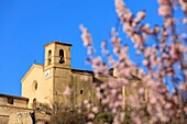 Frankreich,Alpes de Haute Provence,Regionaler Naturpark Verdon,Hochebene von Valensole,Saint Jurs,Kirche