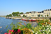 France,Maine et Loire,Angers,the river port