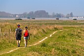 Frankreich,Somme,Baie de Somme,Saint Valery sur Somme,Kap Hornu,Hochwasser,das Meer dringt in die Wiesen und schwimmenden Jagdhütten zurück,die Vögel (Reiher,Löffler,...) kommen, um die Fische zu fangen, die in den Teichen gefangen sind,während die Wanderer von dem Spektakel profitieren