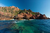 Frankreich,Corse du Sud,Golf von Porto,von der UNESCO zum Weltnaturerbe erklärt,Naturschutzgebiet Scandola
