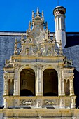 Frankreich,Indre et Loire,Loire-Tal als Weltkulturerbe der UNESCO,Schloss von Azay le Rideau,erbaut von 1518 bis 1527 von Gilles Berthelot,Renaissance-Stil,Salamander-Symbol von König Francois 1
