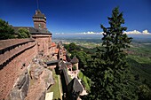 France,Bas Rhin,Route des Vins d'Alsace,Orschwiller,Haut Koenigsbourg Castle