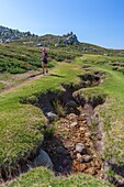 France,Corse du Sud,Alta Rocca region,mountain bogs locally called pozzines on the plateau of Cuscionu