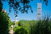 France,Paris,along the GR® Paris 2024 (or GR75),metropolitan long-distance hiking trail created in support of Paris bid for the 2024 Olympic Games,Batignolles district,Clichy-Batignolles - Martin-Luther-King park,the Court of Paris in the background