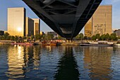 France,Paris,the banks of the Seine Bibliotheque Nationale de France (National Library of France) by architect Dominique Perrault seen from below the Simone de Beauvoir footbridge by architect Dietmar Feichtinger