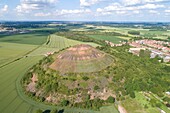 Frankreich,Pas de Calais,Bergbaugebiet,Haillicourt,2000 Rebstöcke der Chardonnay-Rebe, die auf einer Halde gepflanzt wurden, um den Wein "Charbonnay" zu erzeugen (Luftaufnahme)