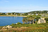 France,Finistere,Morlaix bay,Plougasnou,Pointe de Diben