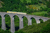 Frankreich,Cantal,Regionaler Naturpark der Vulkane der Auvergne,monts du Cantal (Cantal-Berge),vallee de Cheylade (Cheylade-Tal),Dorf Riom es Montagne