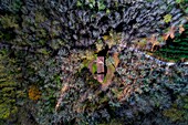 France,Gironde,Val de L'Eyre,Parc Naturel Régional des Landes de Gascogne,Lugos,Church of Old Lugo or Old Lugos,dating from the eleventh century,listed as a historical monument (aerial view)