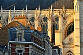 France,Somme,Amiens,Notre-Dame cathedral,jewel of the Gothic art,listed as World Heritage by UNESCO,south side