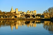 France,Vaucluse,Avignon,the Rhone river with the Cathedral of Doms dating from the 12th century and the Papal Palace listed UNESCO World Heritage