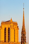 Frankreich,Paris,von der UNESCO zum Weltkulturerbe erklärtes Gebiet,Kathedrale Notre Dame