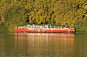 France,Vaucluse,Avignon,island of La Barthelasse,barge on the Rhone